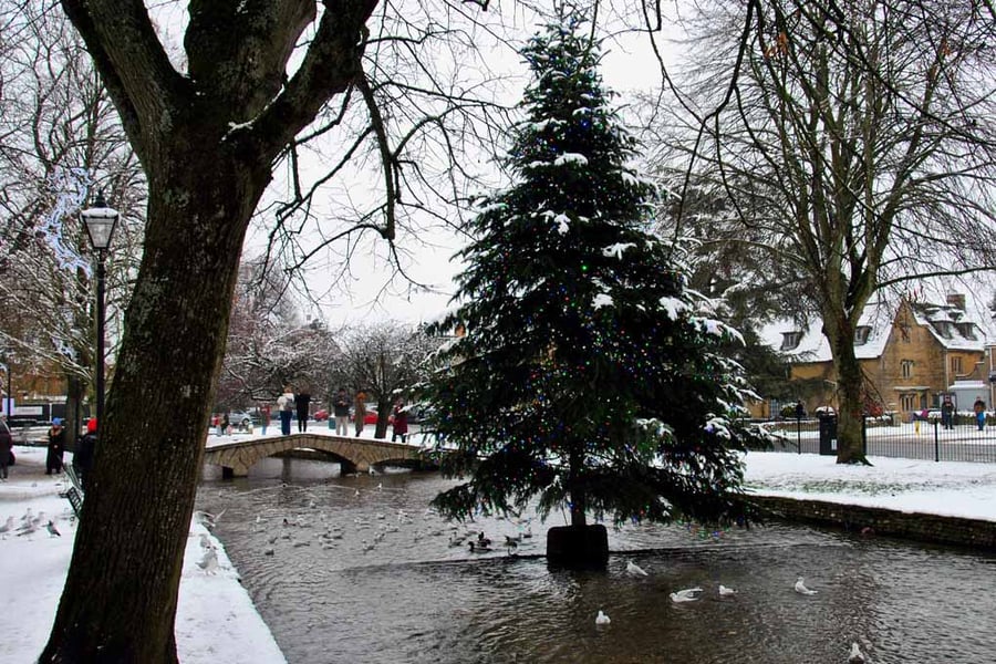 Bourton On The Water Christmas Tree Photograph Print