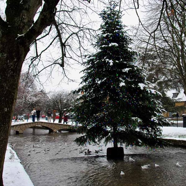 Bourton On The Water Christmas Tree Photograph Print