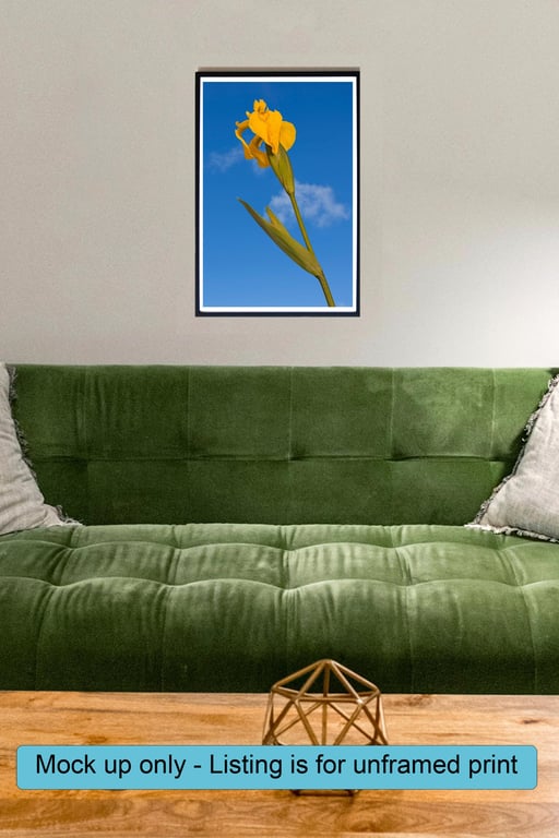 Yellow Flag Iris botanical wall art print
