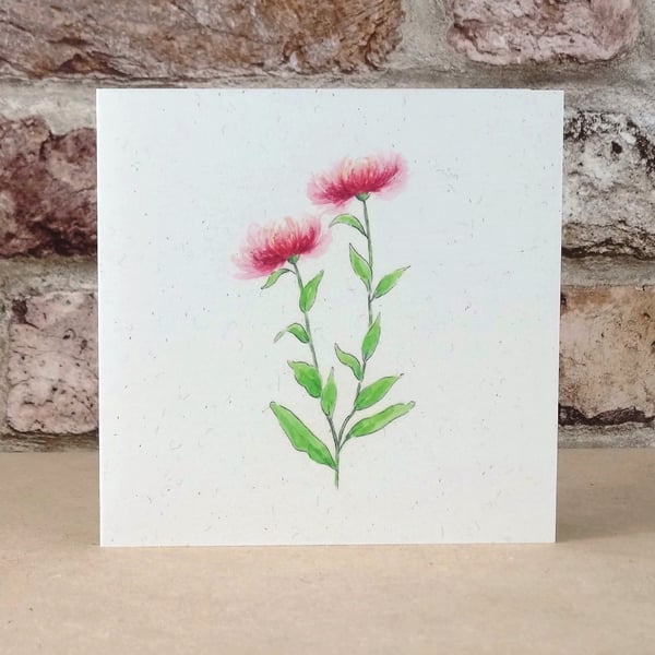 Blank Card Wildflower Knapweed  Eco Friendly