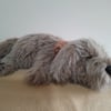 Sleeping Scruffy Puppy