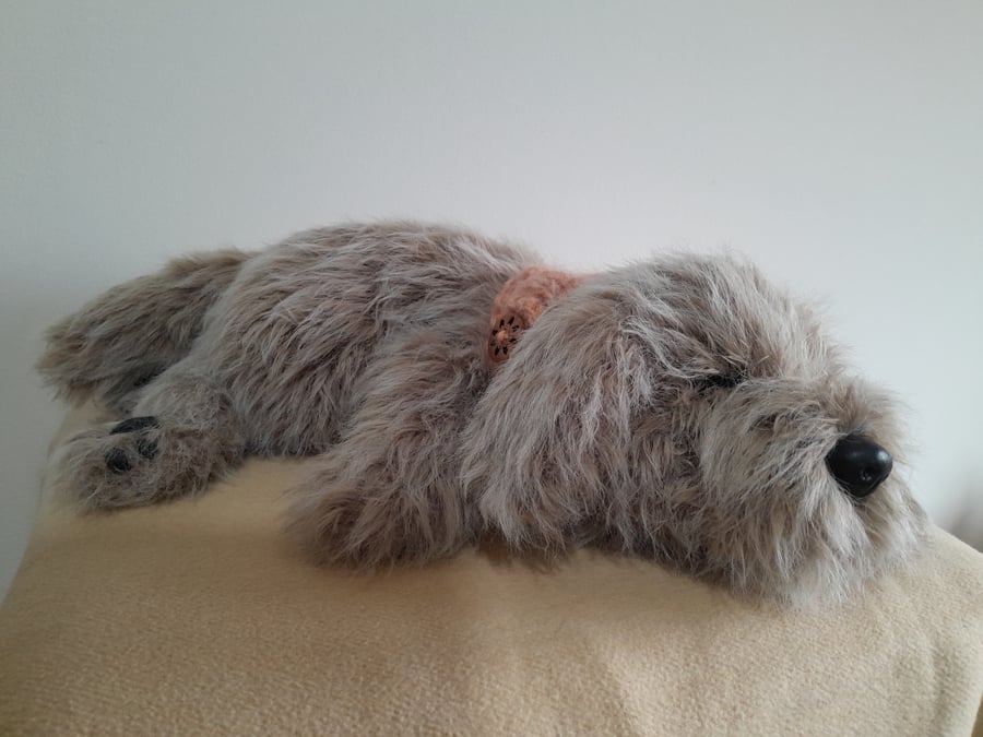 Sleeping Scruffy Puppy