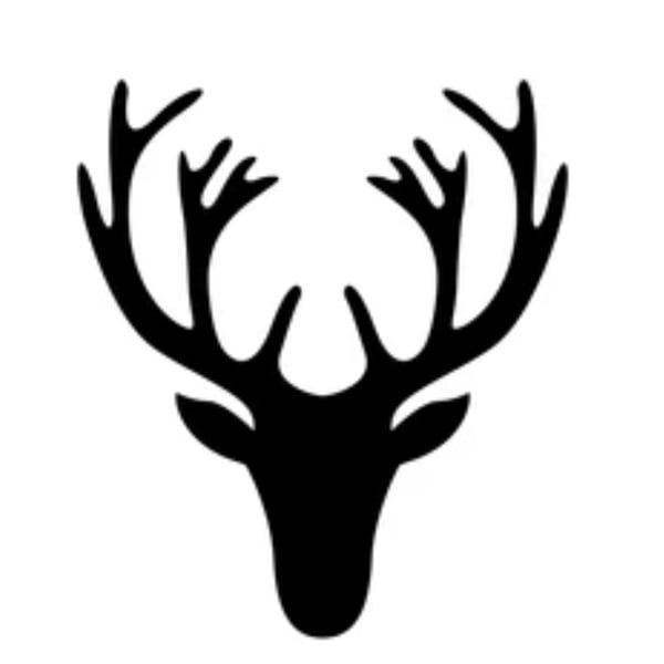 FOR CLAIRE: BALANCE. Faux deer head in rusts & pinks