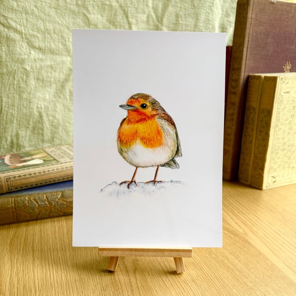 European Robin - Art Print A5 or A4