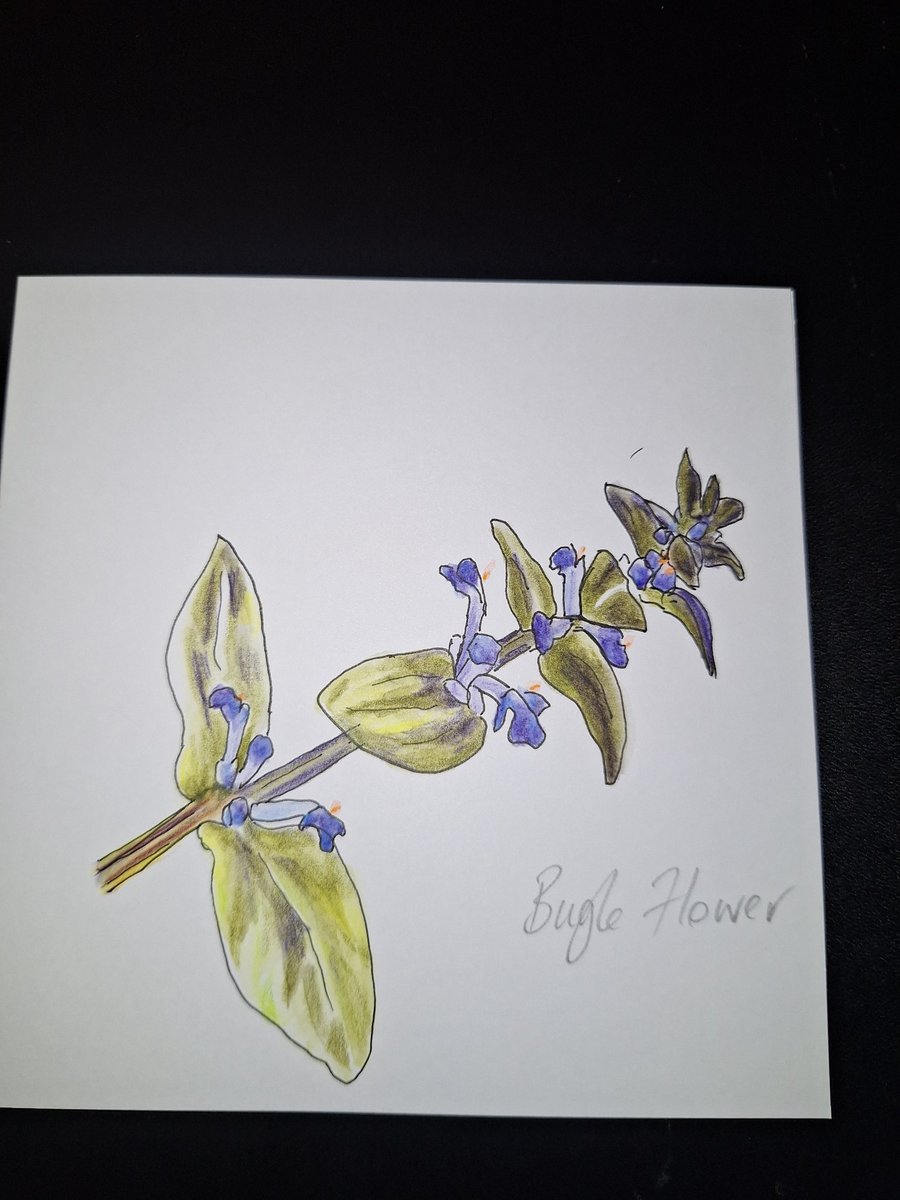 Original Handpainted Greetings Card- Bugle Flower