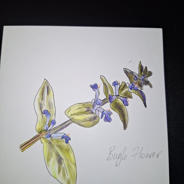 Original Handpainted Greetings Card- Bugle Flower