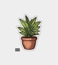 Funny Vinyl Sticker For Adults - Potted Houseplant