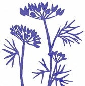 Karen Crayden Handcrafts