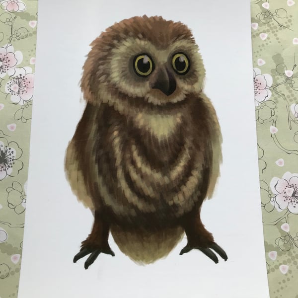 Owl Post Card