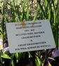 Engraved Memorial Garden Plaque Grave Marker Cemetery Grave Plaque Ornament - Image 2