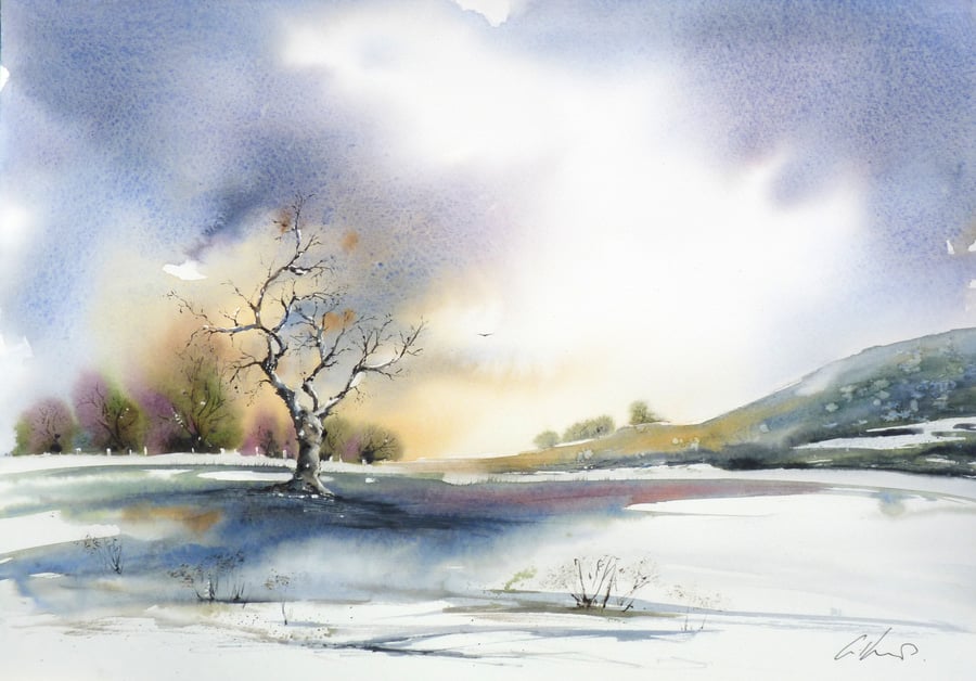 The Old Tree, Original Watercolour Painting.