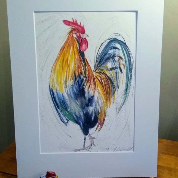 A4 or A3 signed Art Print, Cockerel