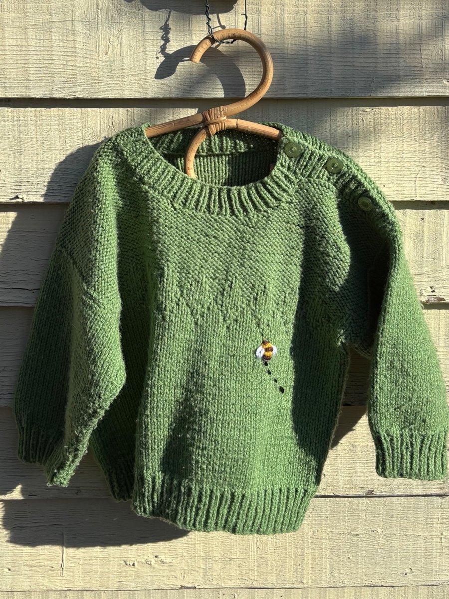 Bee Jumper 3-4yrs