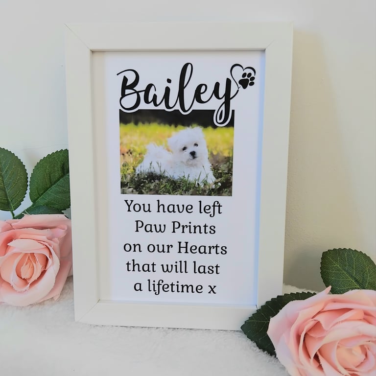 Personalised Pet Loss Frame, Pet Loss Gift, Pet Memory Frame, Pet Memorial Frame
