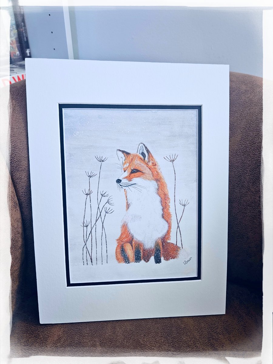 Fox in Winter Scene 