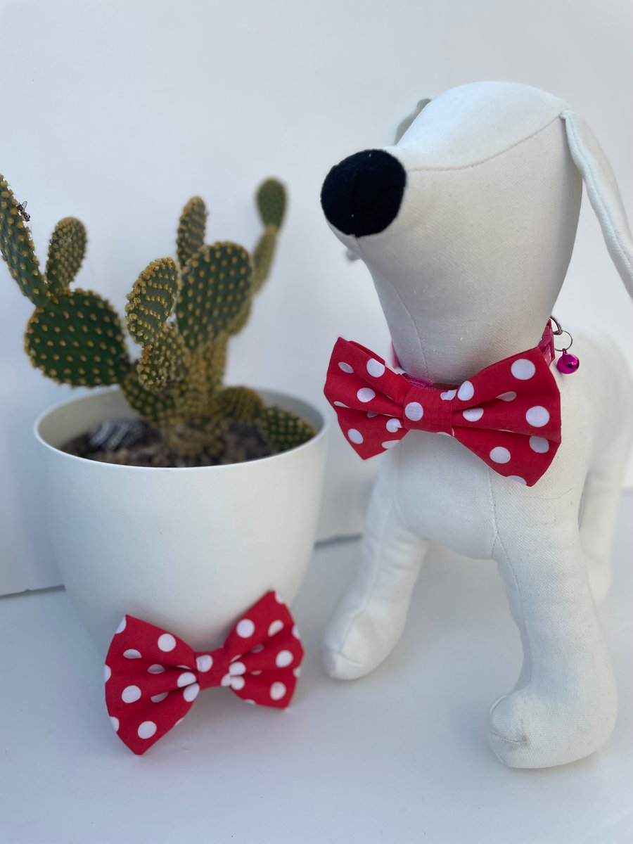  Red & White Spot Dog Bow Tie 
