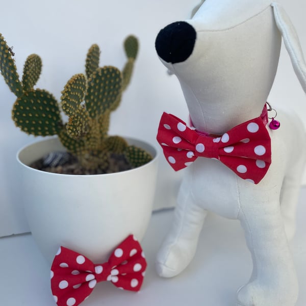  Red & White Spot Dog Bow Tie 