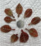 9 Free Motion Embroidered Autumn Leaf  Organza Embellishments Card Making  - Image 3