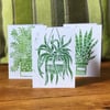 Hand Printed set of 3 House Plant Cards 
