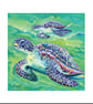 Spirit of Turtle - Blank Card with Nature Spirit Totem message