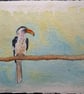 Van Der Decken's Hornbill Original Watercolour Painting