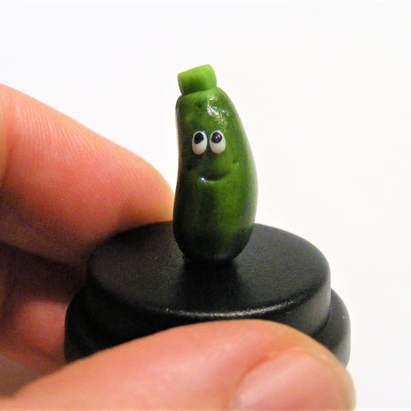 Pet Zucchini, Pet Courgette, Zucchini gift, Vegan gift, vegetarian gift