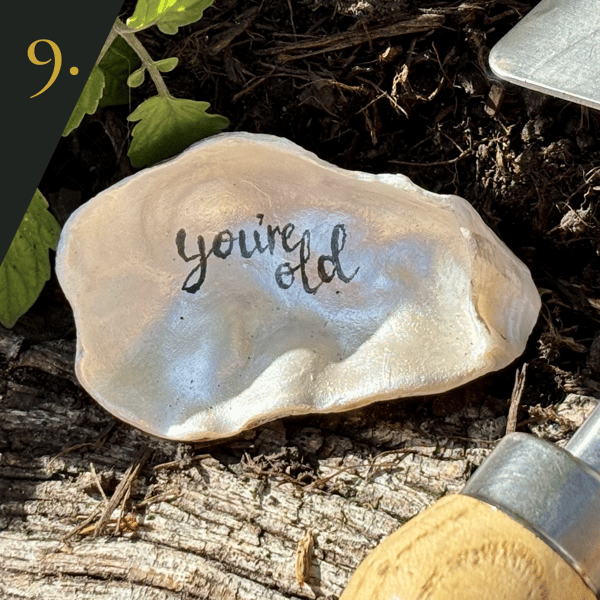 no.9 "you're old" - from SHUCKED's oyster shell collection