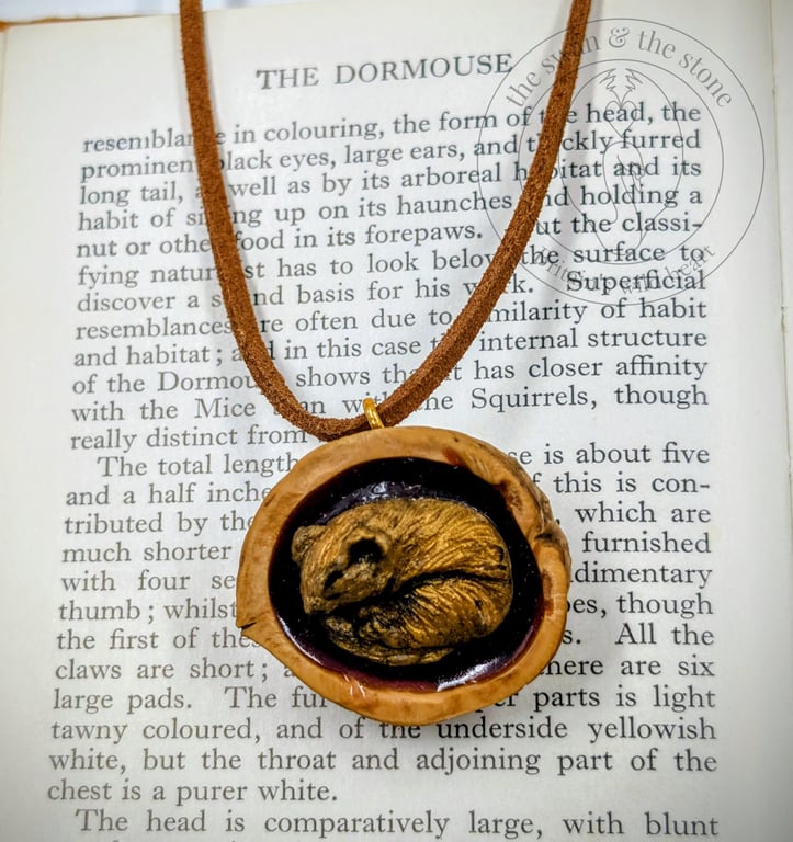 Handmade Dormouse Wildlife Pendant - Cast in Gold Resin, Polished Walnut Shell