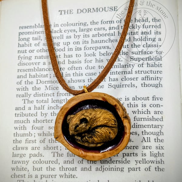 Handmade Dormouse Wildlife Pendant - Cast in Gold Resin, Polished Walnut Shell