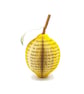 Personalised Lemon Book Gift - Image 1