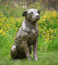 Sitting Crossbreed Dog Statue Large Bronze Resin Garden Sculpture - Image 6
