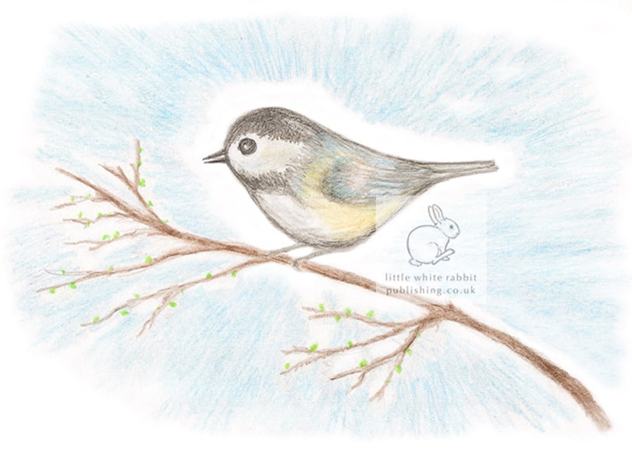 Little Bird - Blank Card