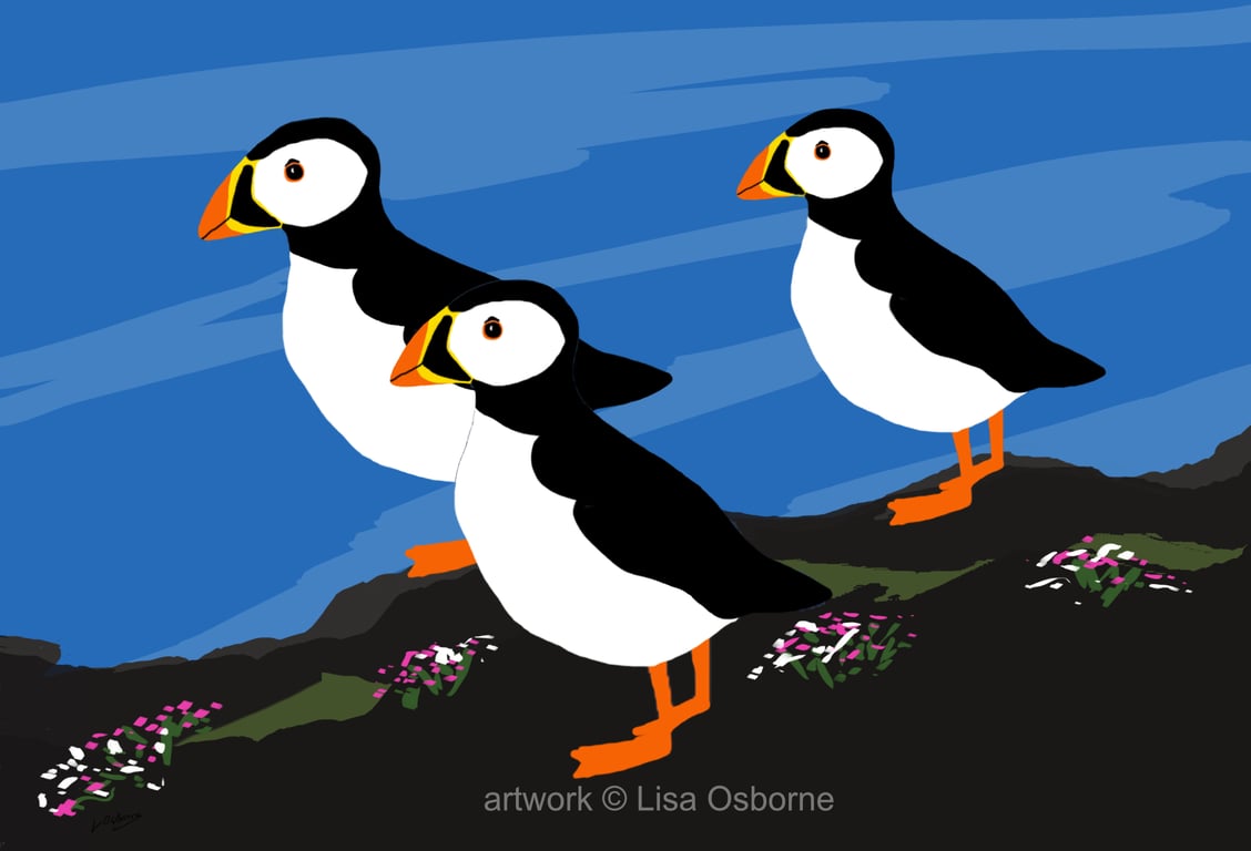Puffins - bird art print - coastal birds