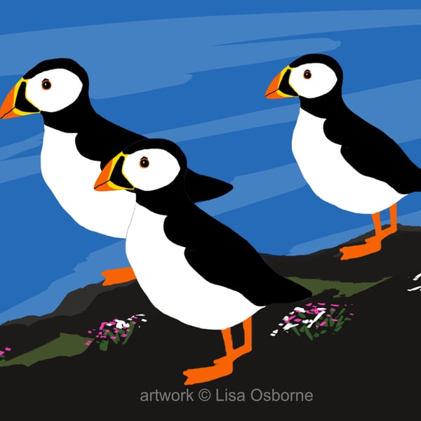 Puffins - bird art print - coastal birds