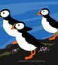 Puffins - bird art print - coastal birds - Image 1