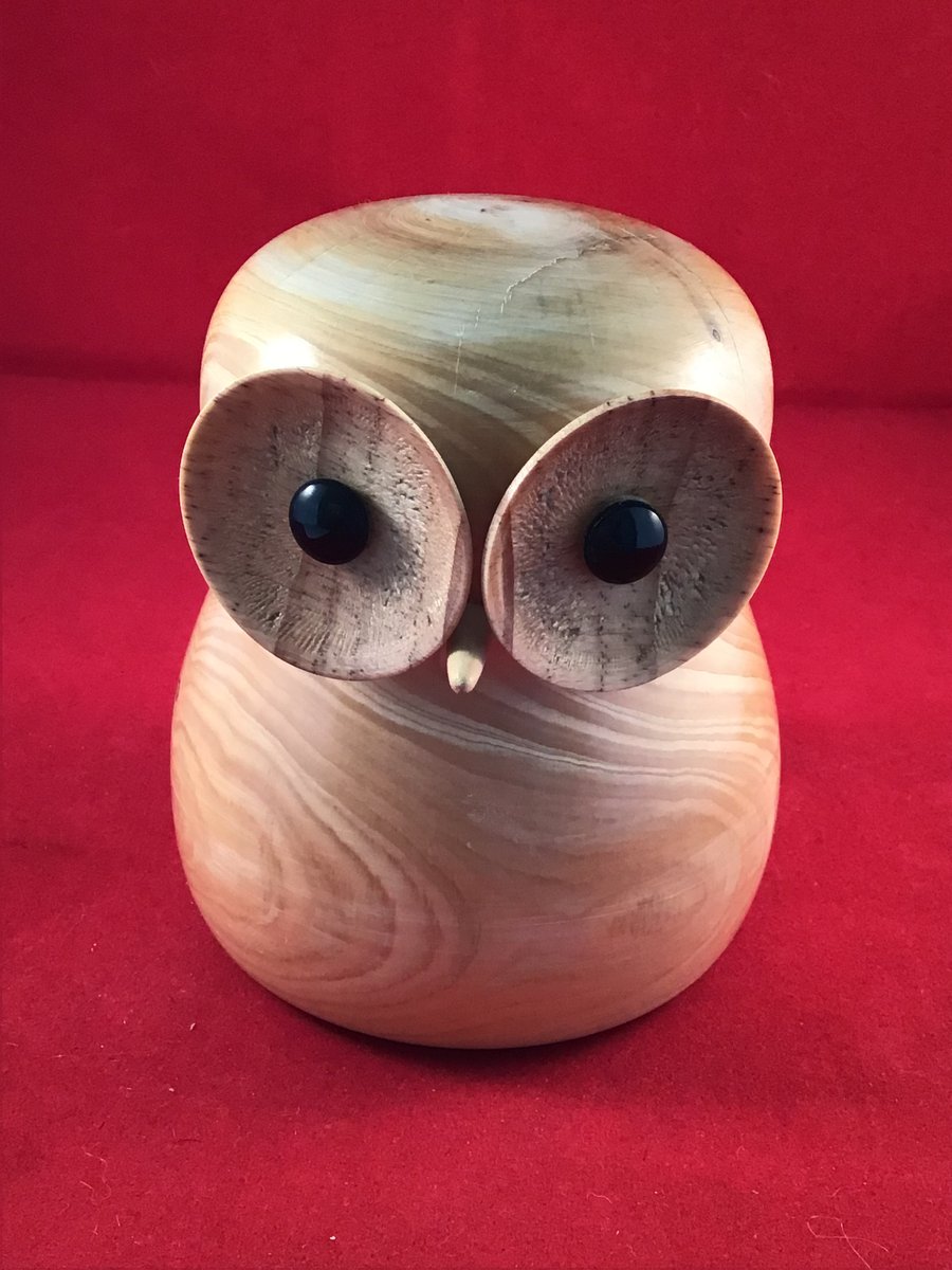 Wood Owl caricature 