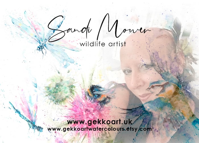 Gekko Art Watercolours