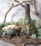 Dryad and Bear Statues, Forest Guardians, Ancient Woodland Spirits - Image 1