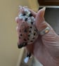 Female Kestrel hand knit tree decoration  - Image 4