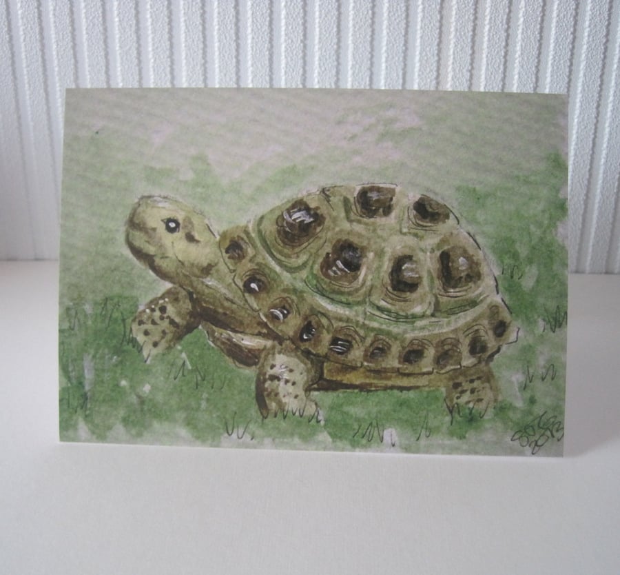 Tortoise Card Blank Greetings Card Print from Original Painting