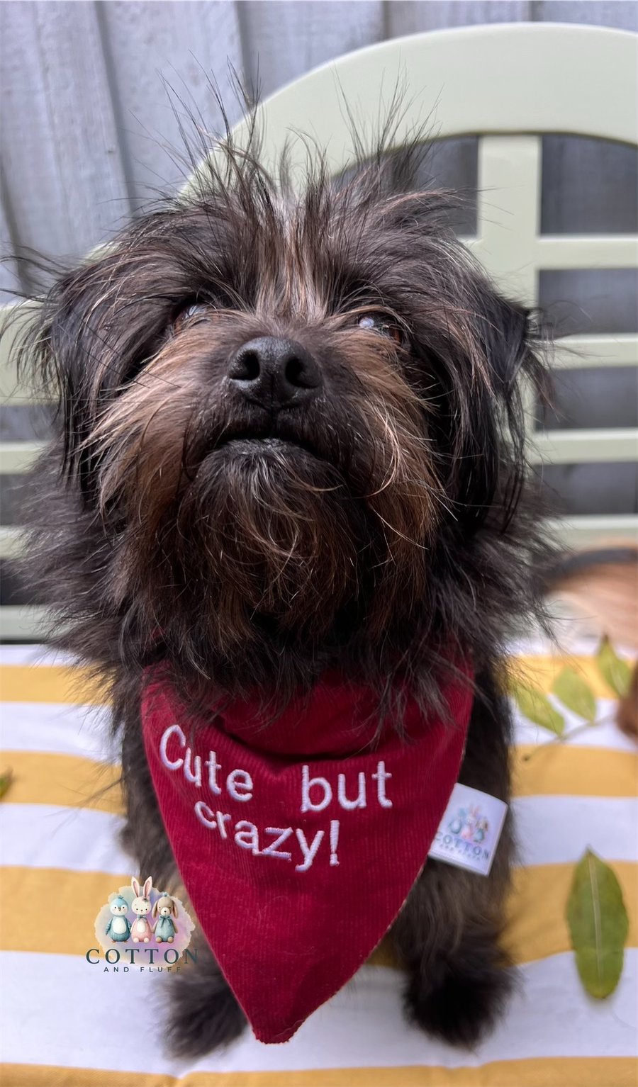 Personalised Dog Bandana (medium)