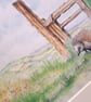 Watercolour print of a Southdowns Sussex Hedgehog - Image 3