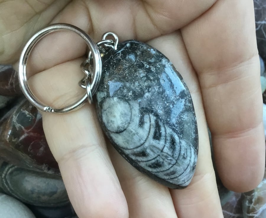 Lovely Spear Shaped Off Centre Orthoceras Fossil Keyring or Handbag Charm.
