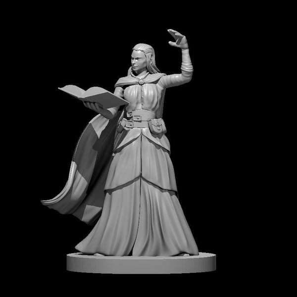 Arch Mage - 3D Printed Resin DnD Pathfinder Fig... - Folksy