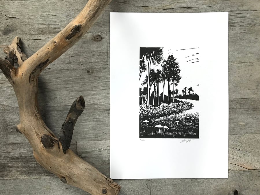 Enchanted: Original hand printed lino cut by Suffolk printmaker Beth Knight