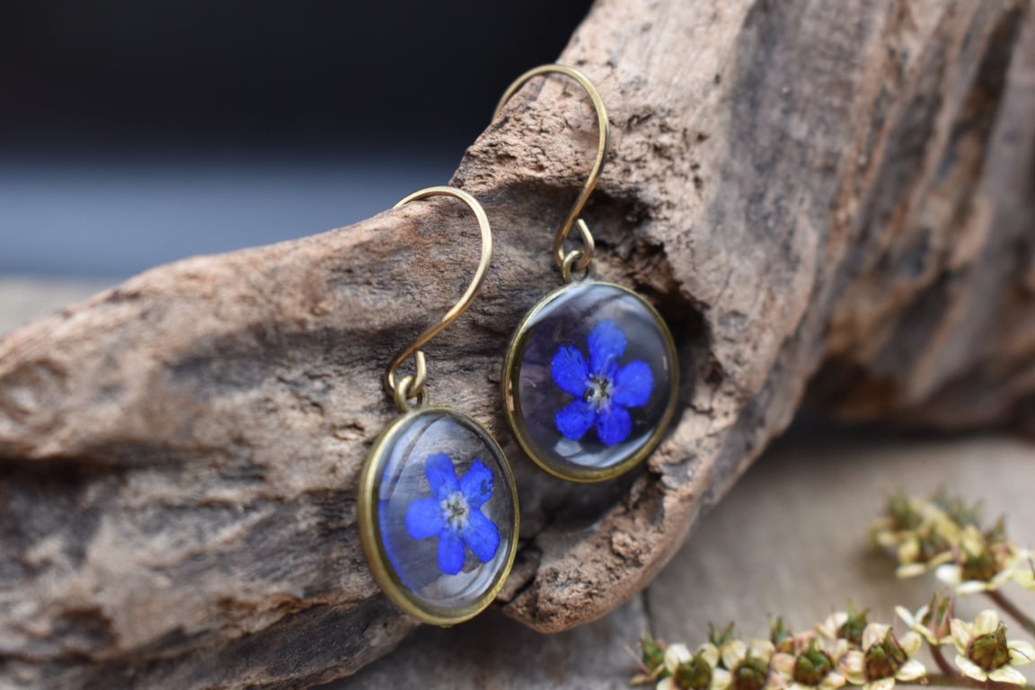 Hypoallergenic Real Pressed Blue Flower Resin Earrings, Titanium Ear Hooks