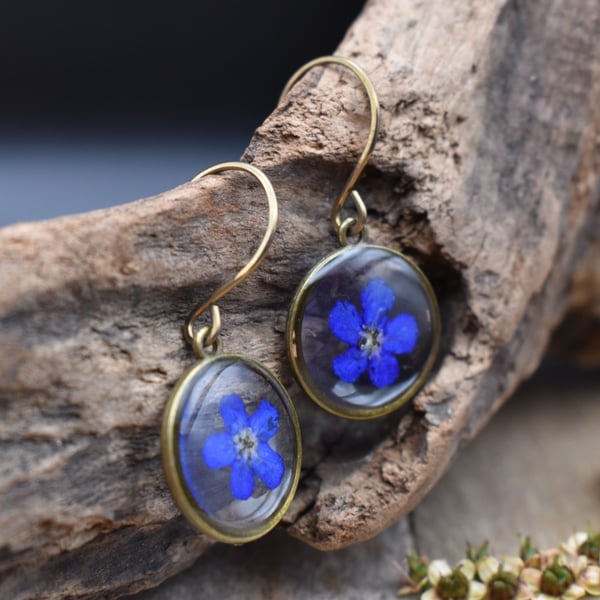 Hypoallergenic Real Pressed Blue Flower Resin Earrings, Titanium Ear Hooks