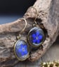 Hypoallergenic Real Pressed Blue Flower Resin Earrings, Titanium Ear Hooks