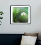 Double Snowdrops print - Image 2