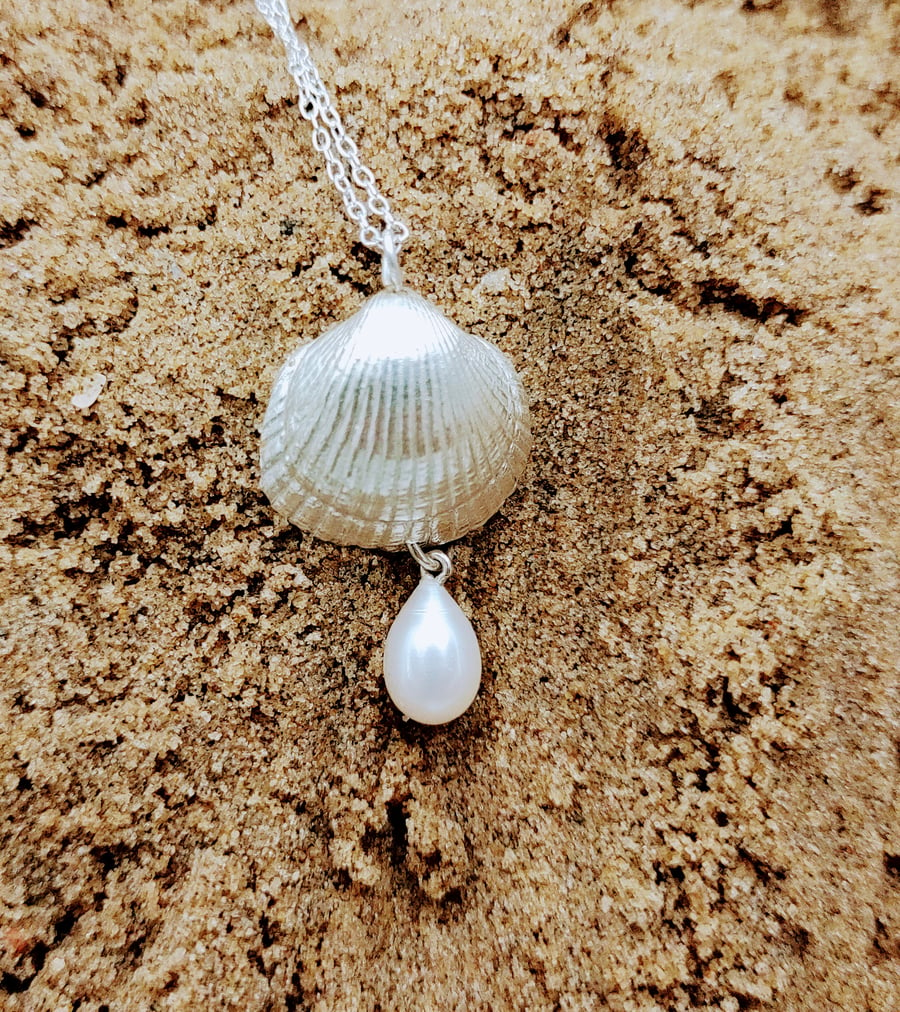 Silver Shell and Pearl